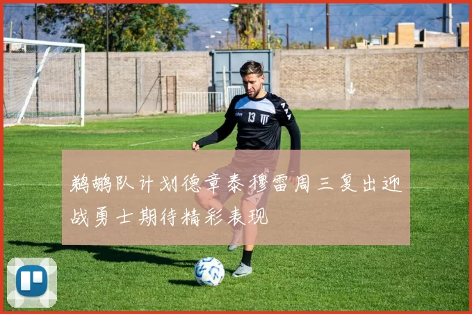 鹈鹕队计划德章泰穆雷周三复出迎战勇士期待精彩表现